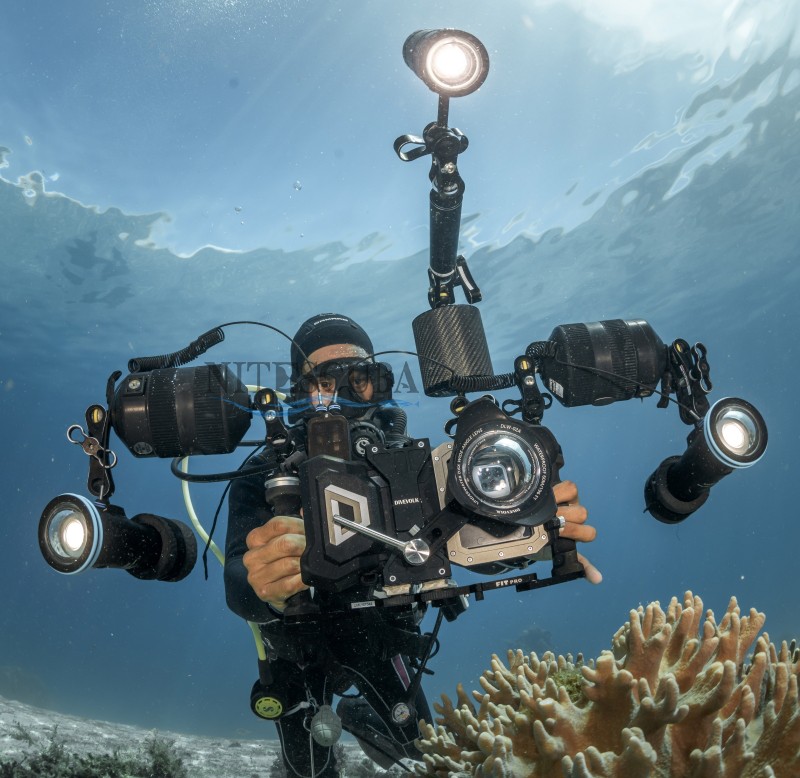 DIVEVOLK Seatouch 4 Max Plus C - Phone Cases With Pictures ulasan dan harga
